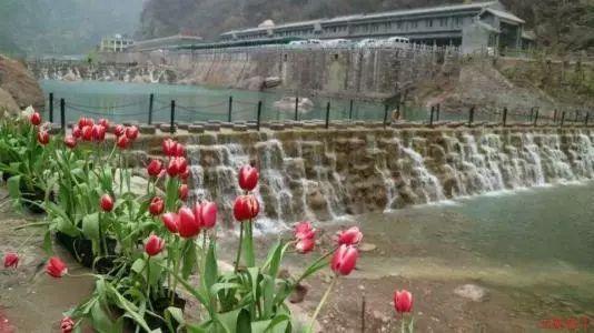 红色长袖针织衫搭配白色牛仔短裤，优雅美丽，穿出仙女气息，你觉得怎么样？